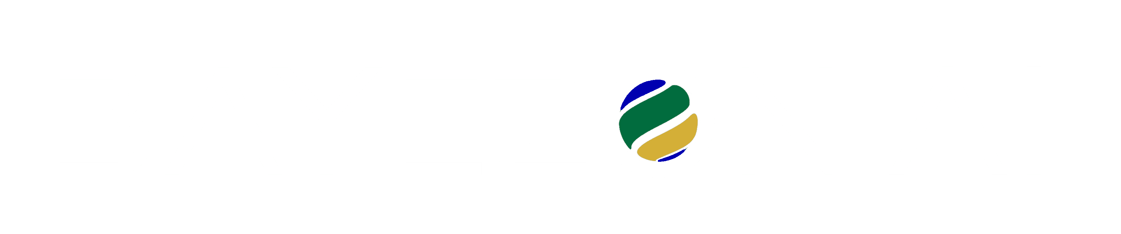 Bayezon AI